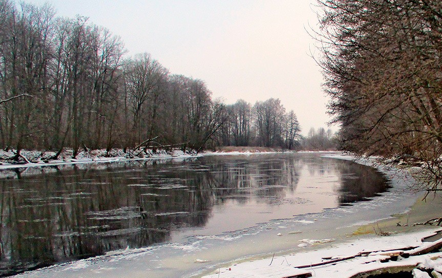 У Нового Двора в Свислочи утонул мужчина