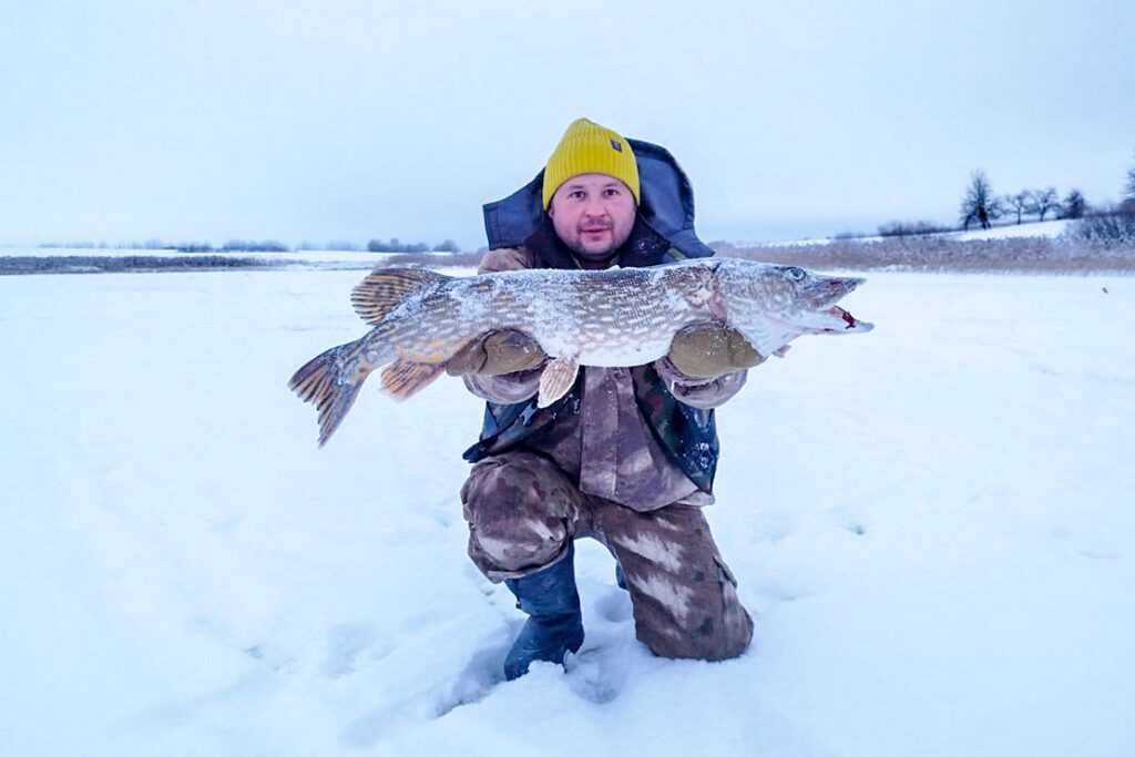 «Крокодил» на крючке: рыбак из Постав поймал щуку-гиганта весом более 9 кг