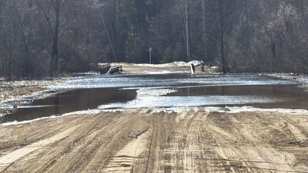 На Могилевщине затопило еще один мост – проезд пришлось закрыть