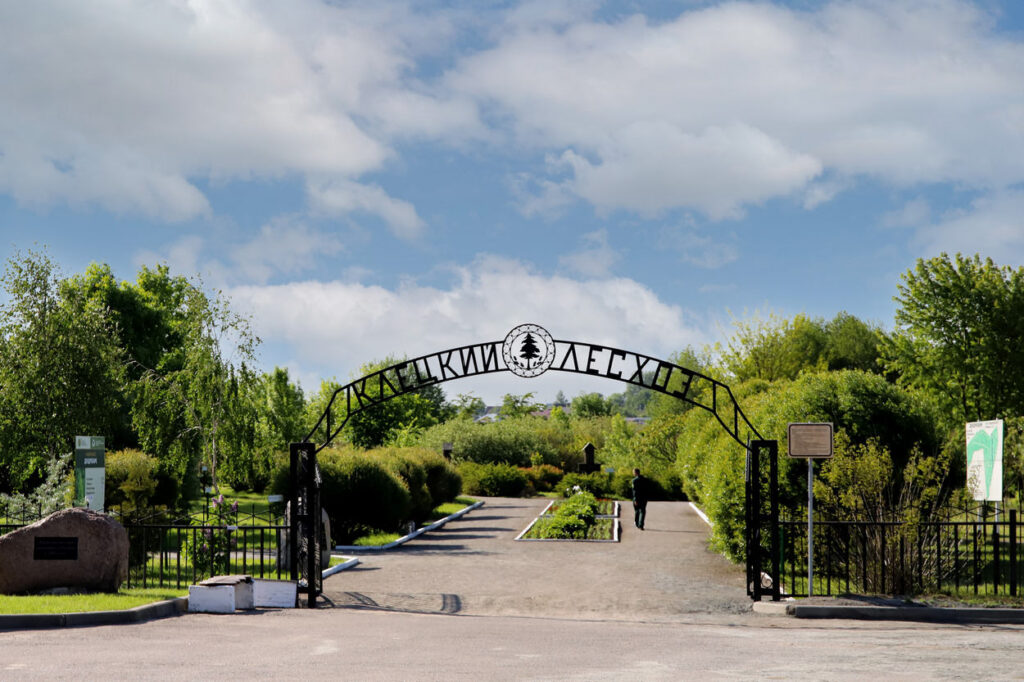 Зеленое золото Клетчины: как лесхоз объединил промышленность, отдых и память о героях