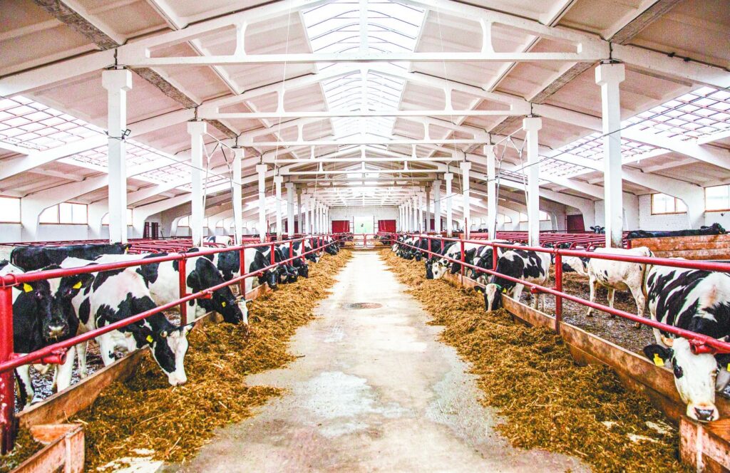 Люди и технологии большого хозяйства: как работает Клецкий райагросервис