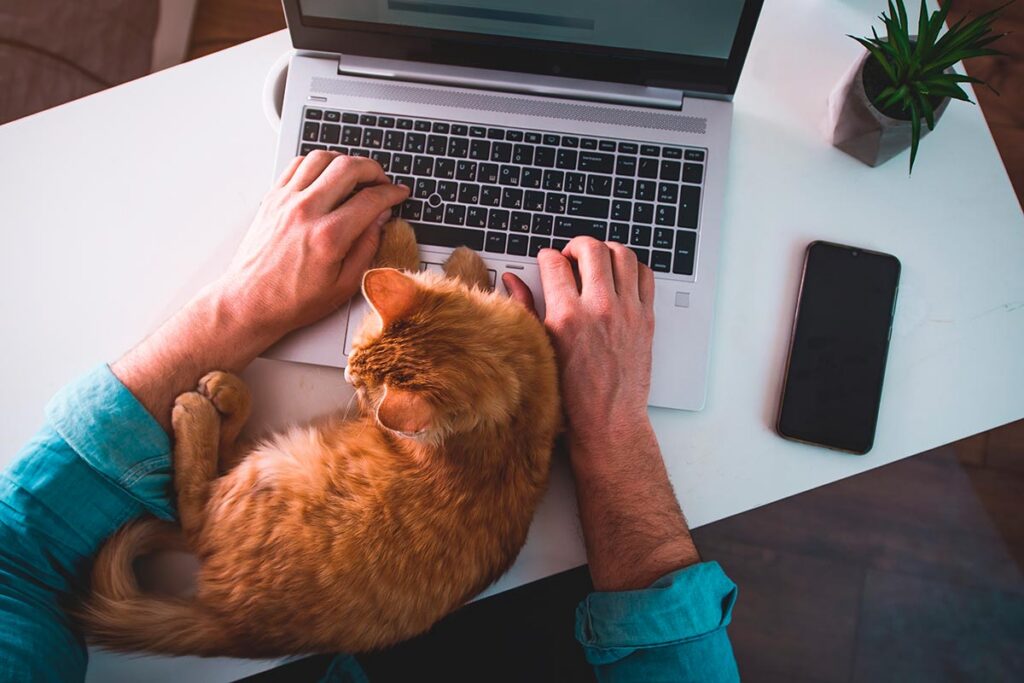 Можно ли на «удаленке» переехать в другой город и работать оттуда – ответил адвокат