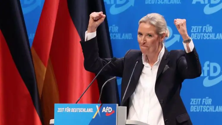 Ультраправые берут власть? Что покажут земельные выборы в Германии