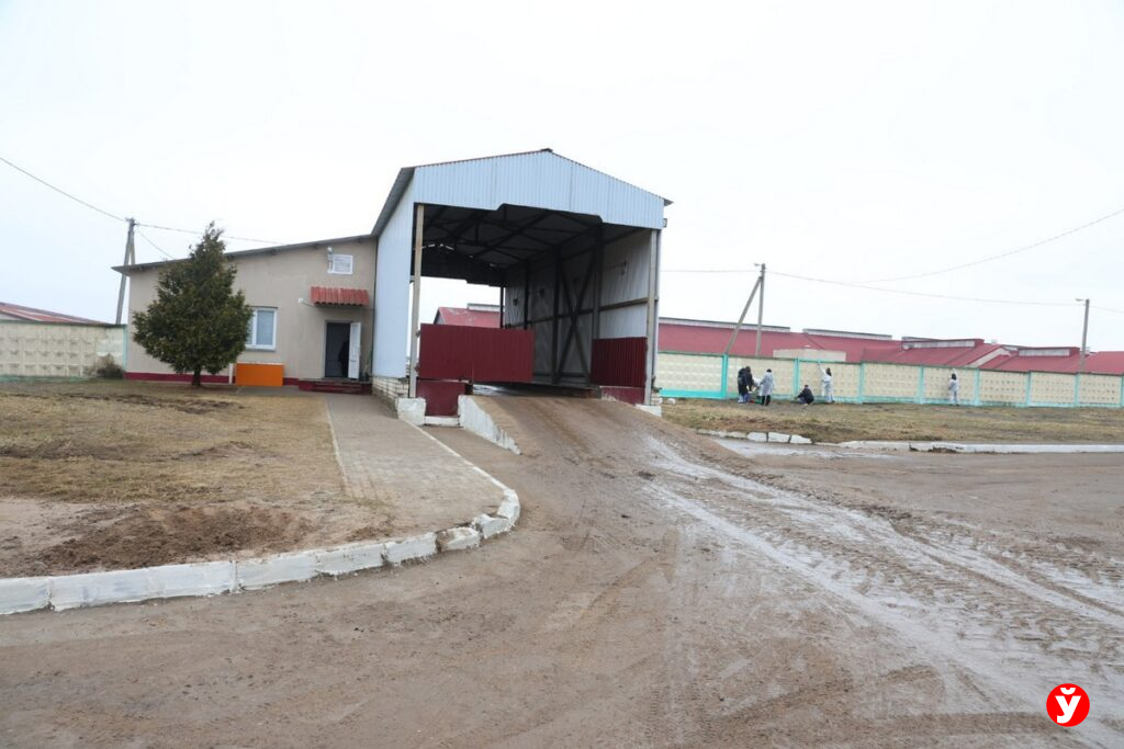 ОАО «Нестановичи-Агро»