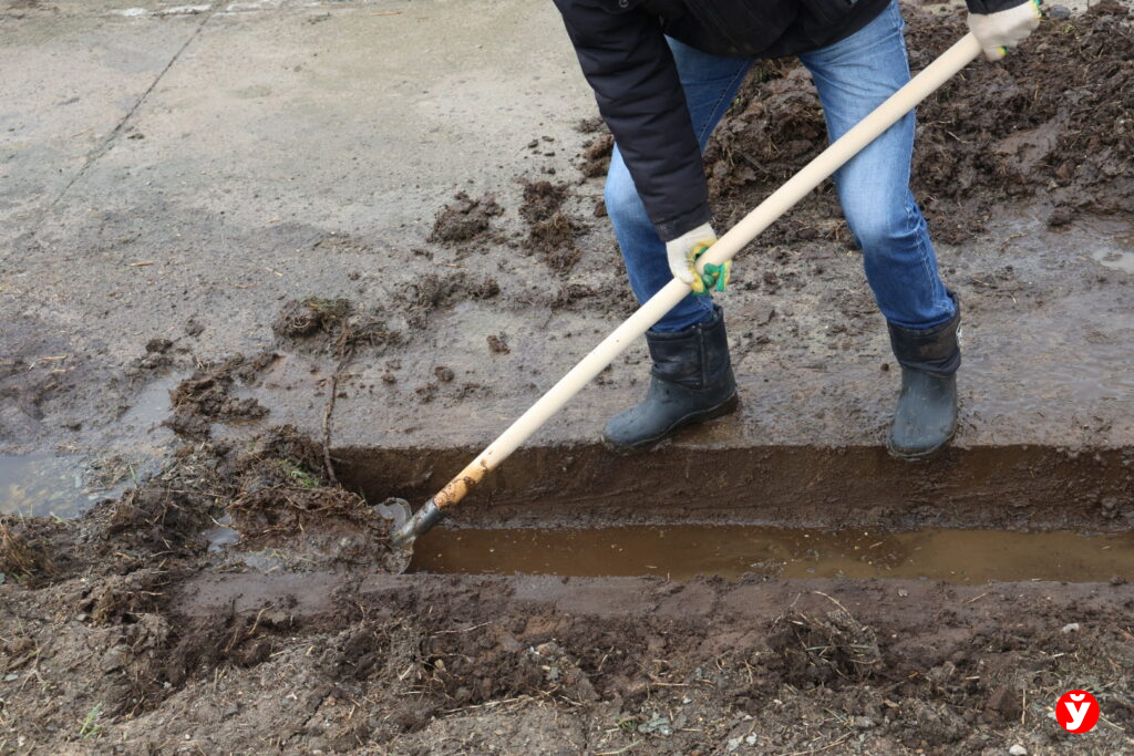 Нестеровичи