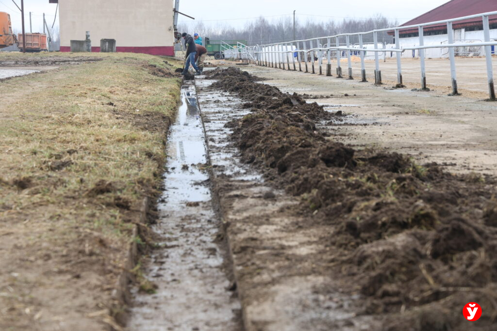 Нестановичи