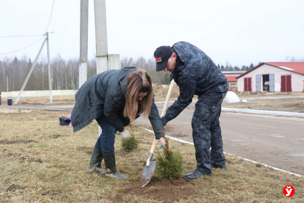 Нестеровичи