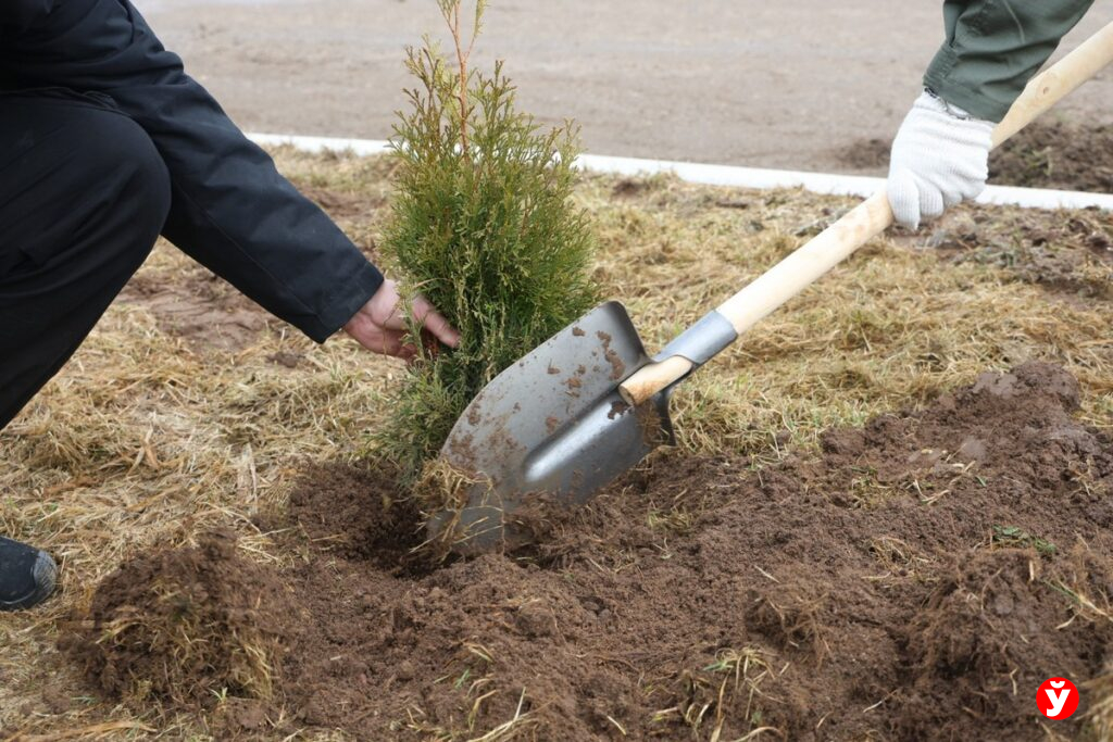 Нестеровичи