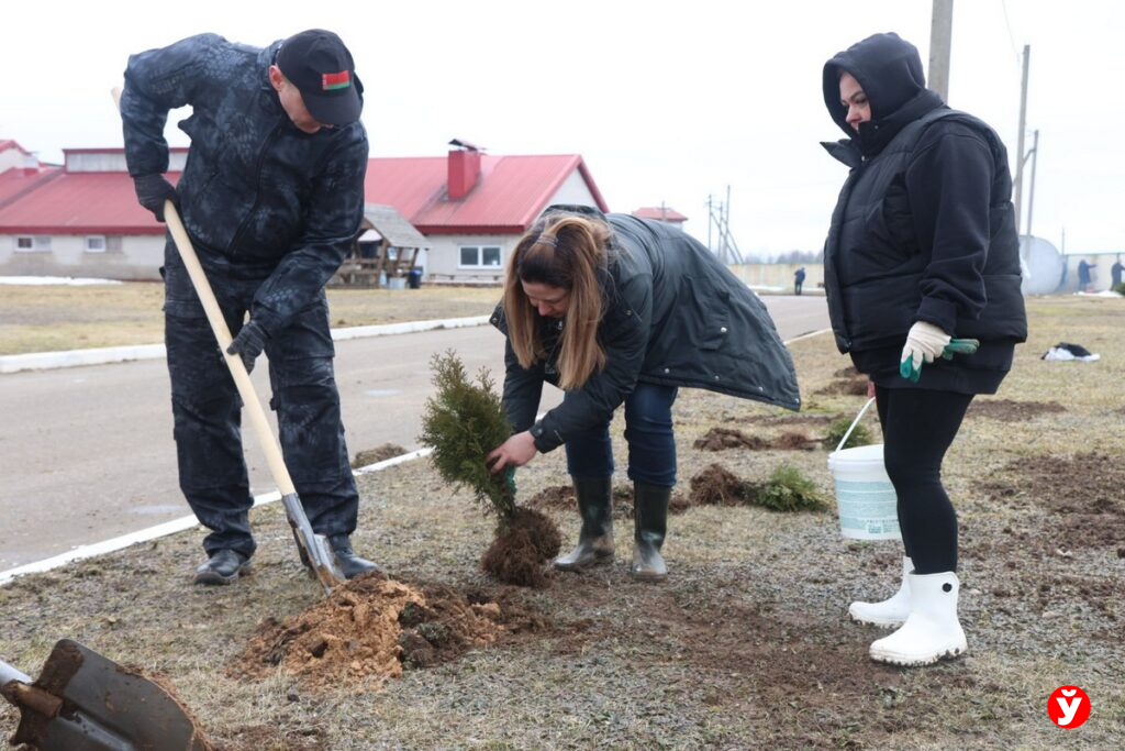 Нестеровичи