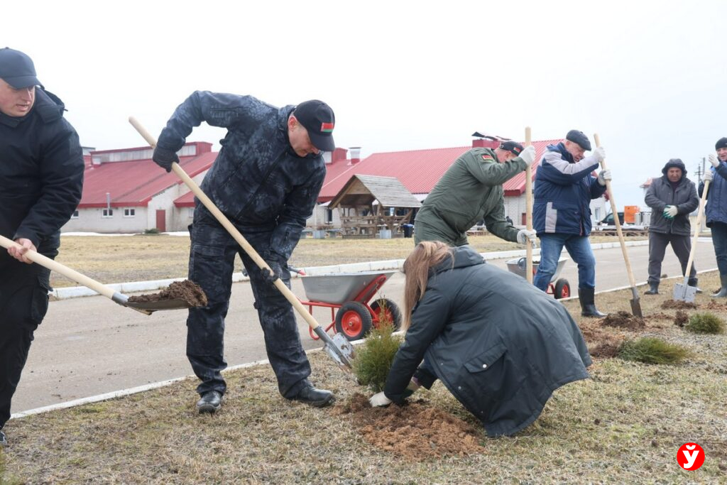 ОАО «Нестановичи-Агро»