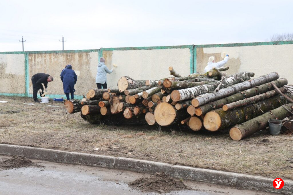 Областной субботник на фермах Минщины: Кушнаренко работает в «Нестановичах-Агро»