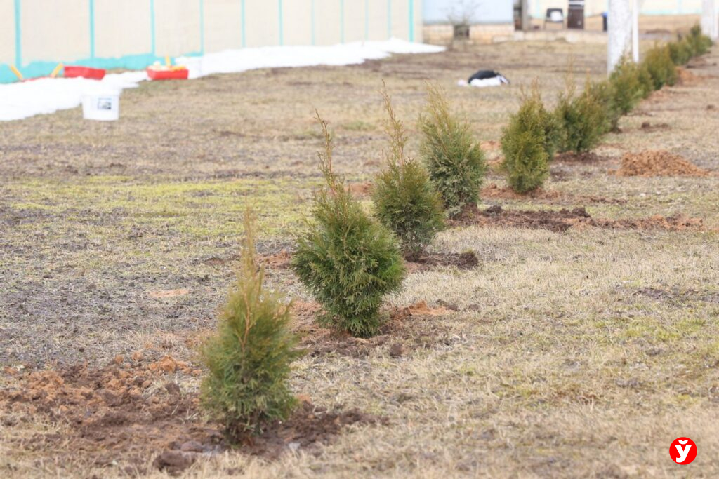 Областной субботник на фермах Минщины: Кушнаренко работает в «Нестановичах-Агро»