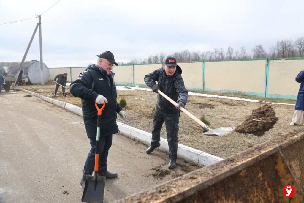 Областной субботник на фермах Минщины: Кушнаренко работает в «Нестановичах-Агро»