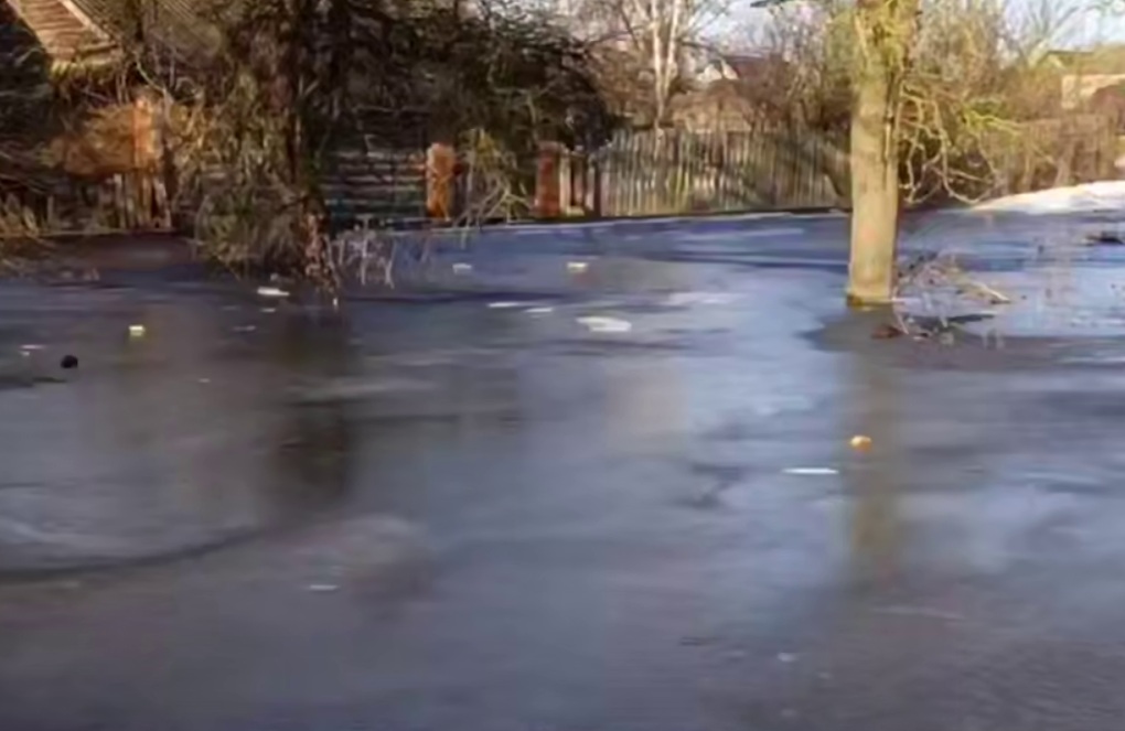Паводок в Беларуси: что делать, если талые воды начали затапливать двор