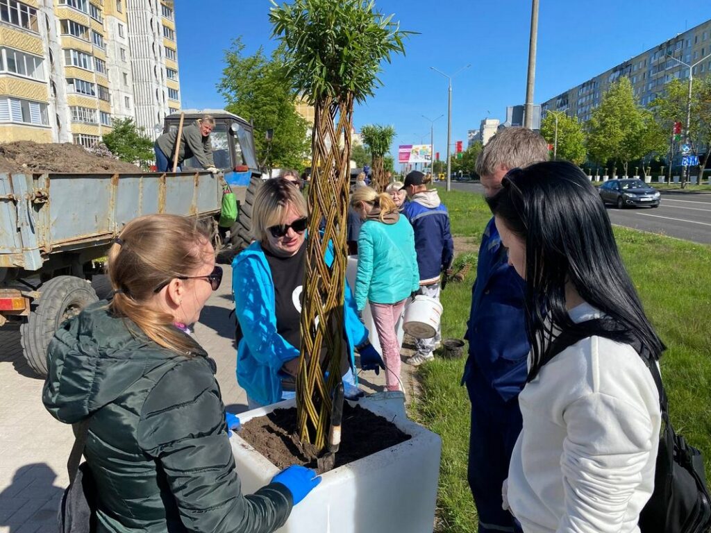 От дворов до парков: как коммунальщики делают Солигорск уютнее