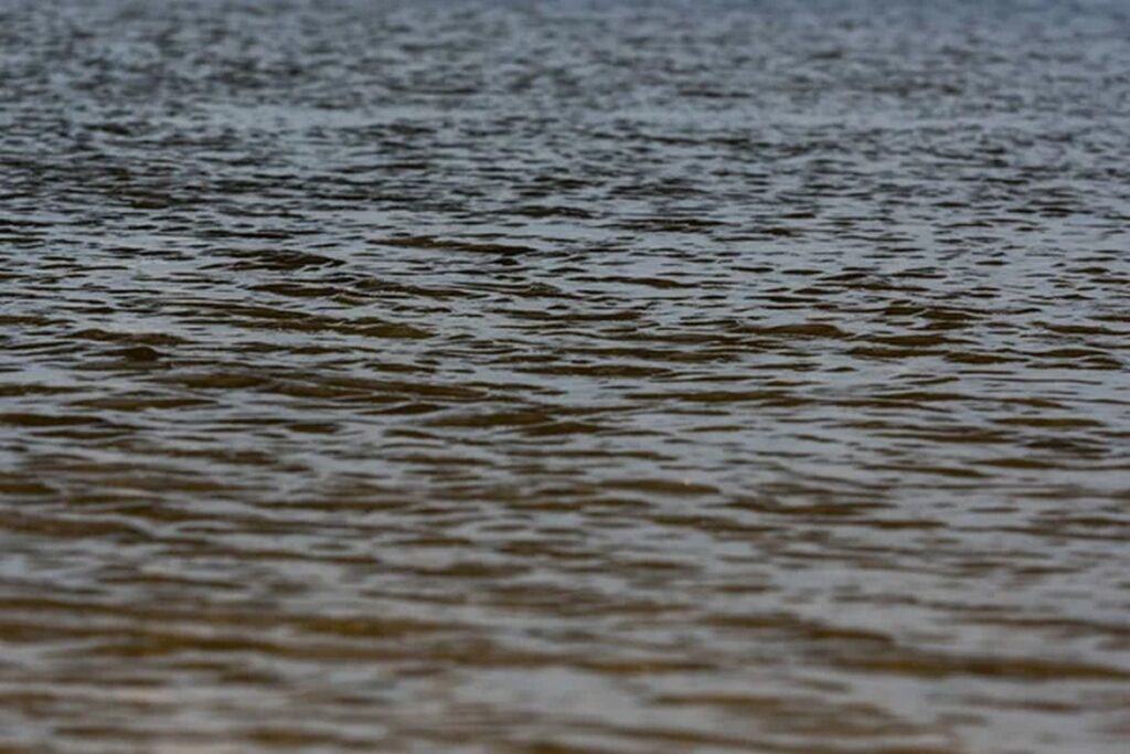 Мать спасла тонущую дочь в Гродненском районе: девочка в реанимации