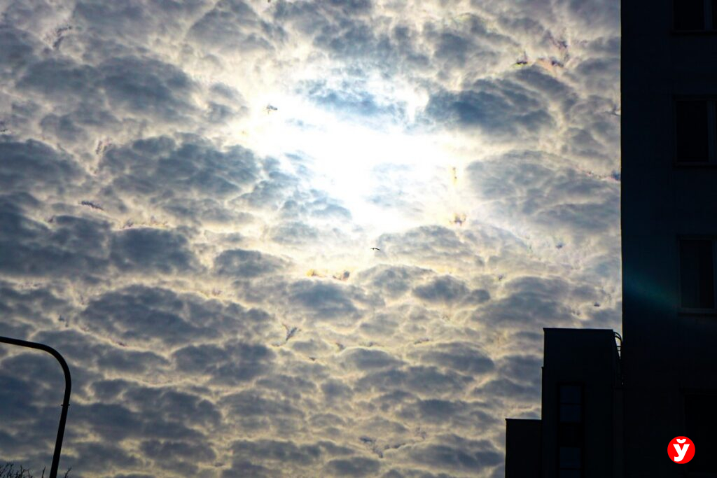 Ветер и гололедица: синоптики предупреждают о погодных сюрпризах 5 марта