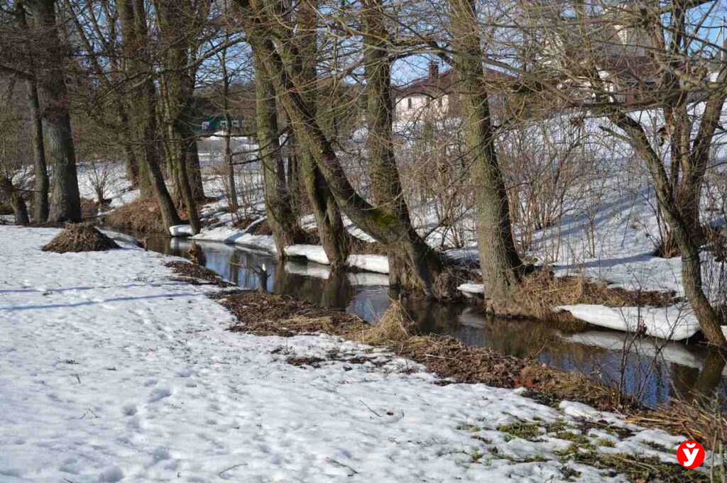 Лукашенко дал прогноз, ждать ли большой воды в Беларуси