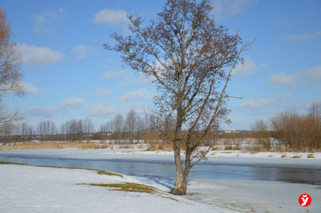 Какие реки Беларуси уже освободились ото льда — рассказали гидрологи