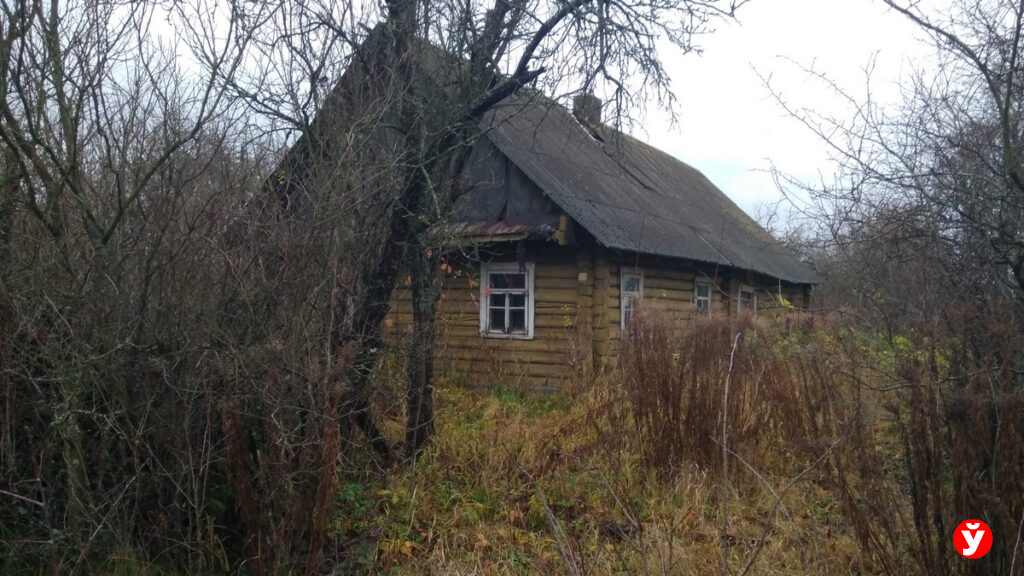 Дом за одну базовую: могут ли россияне купить пустующее жилье в Беларуси