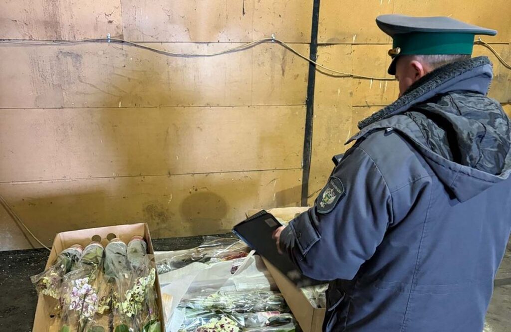 700 орхидей не пустили в Беларусь: грузы без документов вернули отправителю 