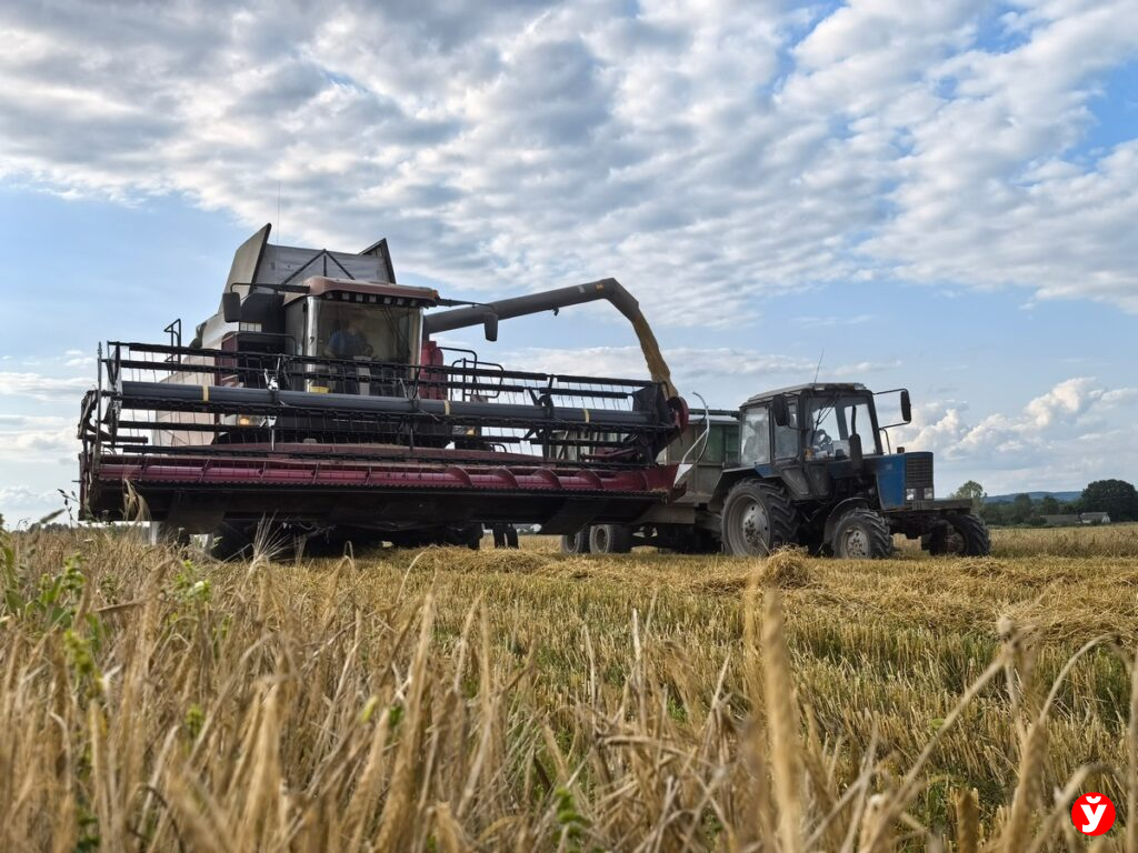Лукашенко потребовал обеспечить централизованные закупки для села