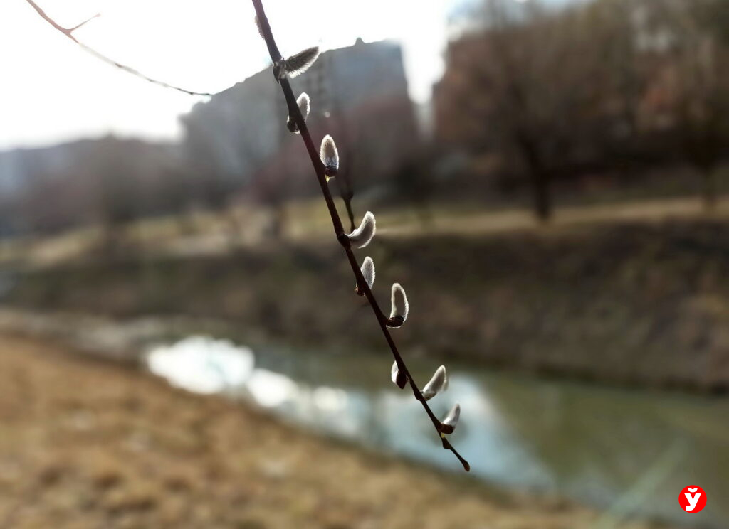 Теплее нормы, но с арктическими сюрпризами: Рябов — о том, чего ждать от апрельской погоды