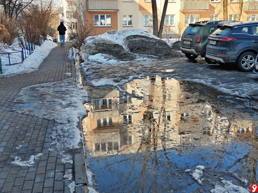 Без осадков и до +8°C: какой будет погода 7 марта