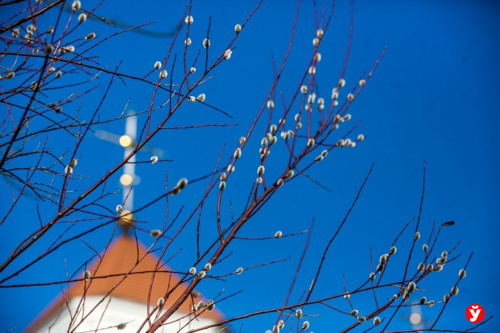 Милиция Минской области перейдет на усиленный режим работы в Вербное воскресенье