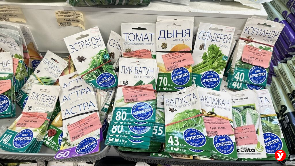 Белорусы массово скупают семена, теплицы и культиваторы: дачный сезон стартовал раньше срока
