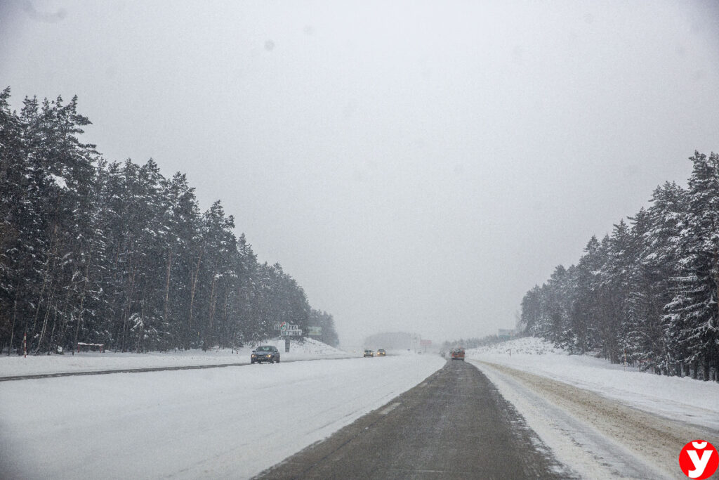 ГАИ Минской области просит белорусов сообщать о нетрезвых и бесправниках за рулём