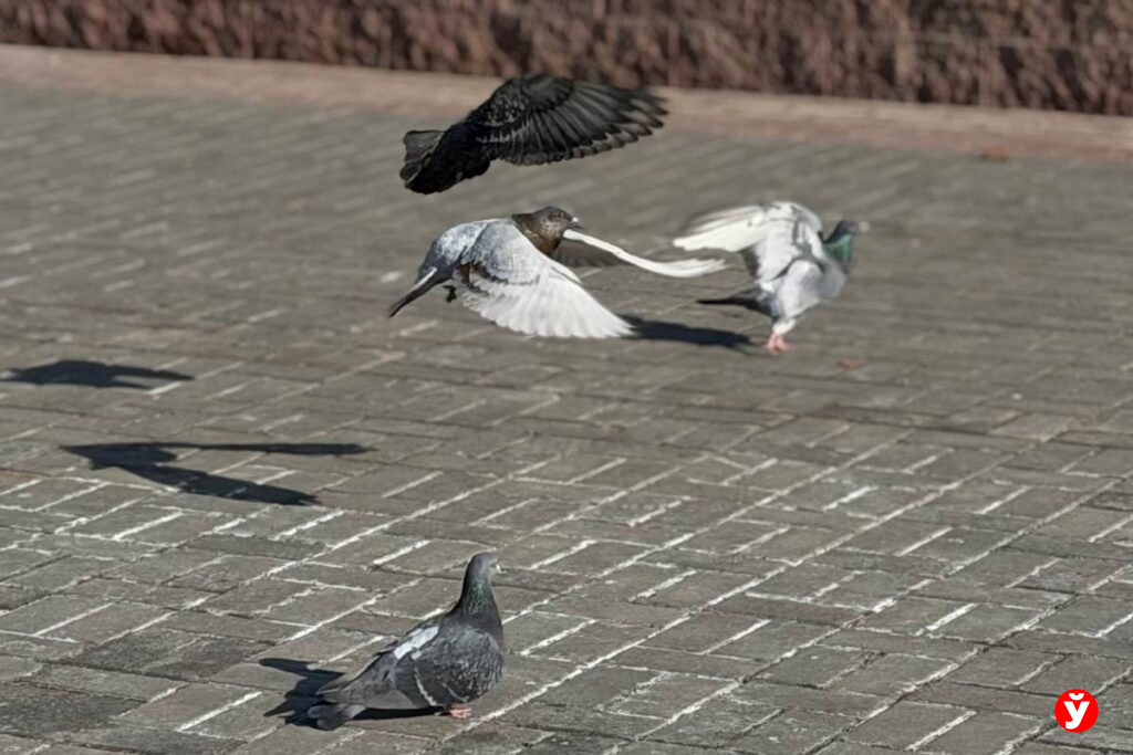 Идеальный выходной: 29 марта в Беларуси будет до +18°C и без осадков