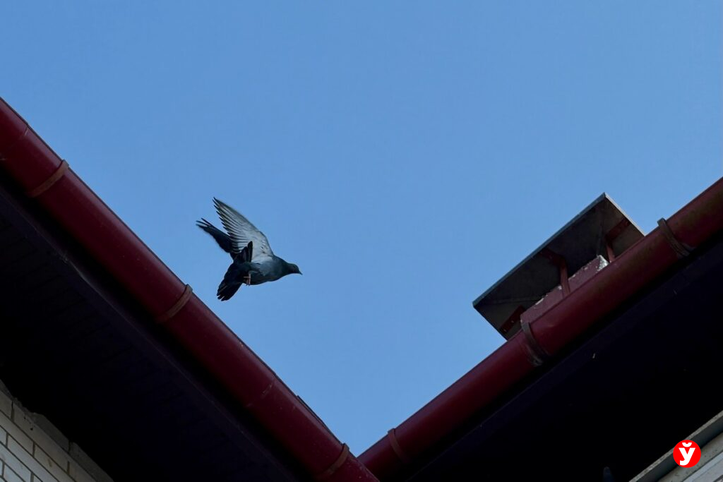 Синоптики обещают до плюс 17 в Беларуси 15 марта