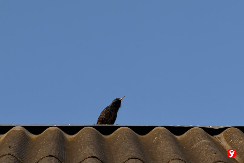Где в Беларуси было теплее всего в выходные