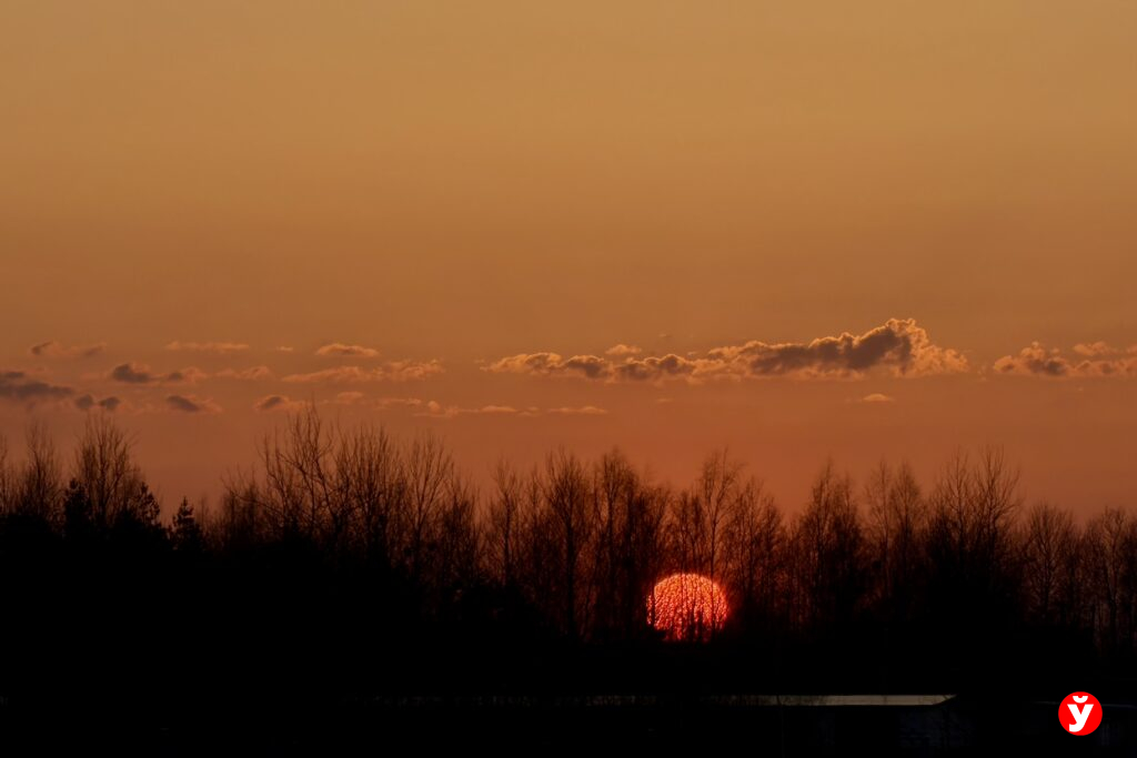 Снова похолодает? Какая погода ждет белорусов 16 марта