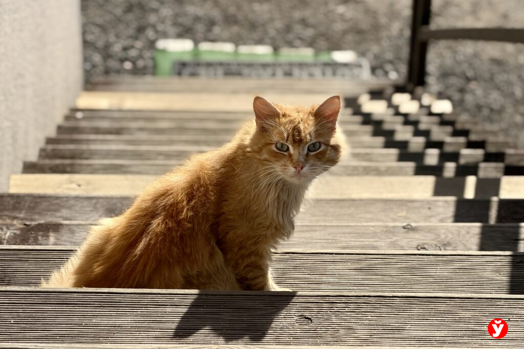 В Минске 14 марта был побит температурный рекорд дня