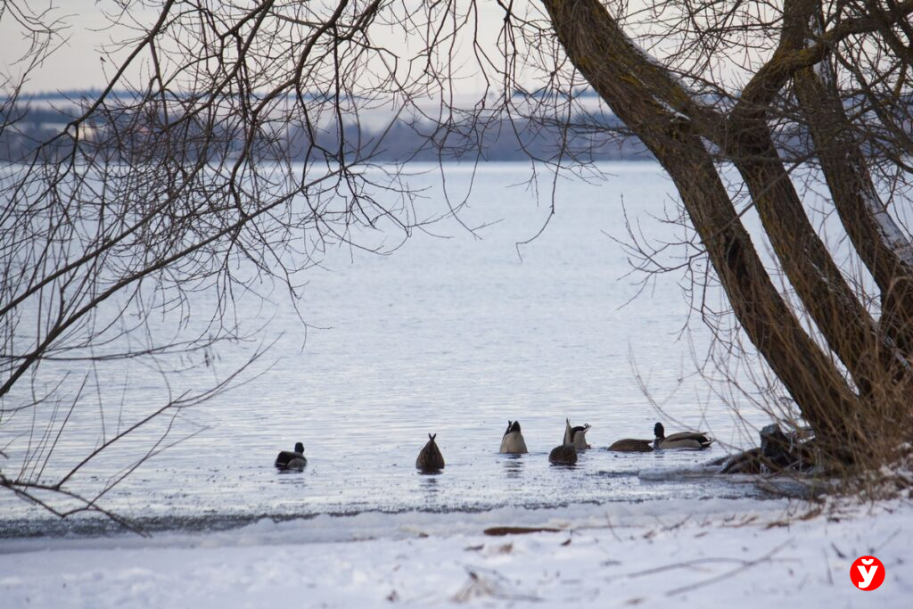 Синоптики пообещали до плюс 13 градусов в среду – в какой области