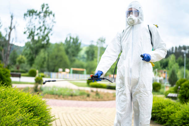 Как дезинсекторы Воложина борются с клещами, мышами и тараканами