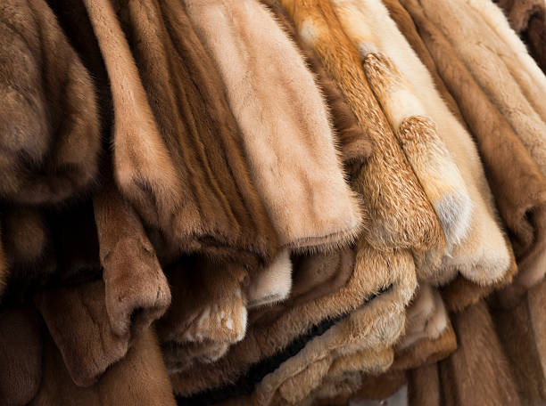 От 7 до 13 тысяч рублей стоят белорусские шубы в этом сезоне – кто их покупает