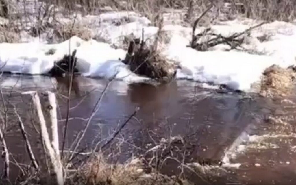 Второй мост ушёл под воду в Беларуси