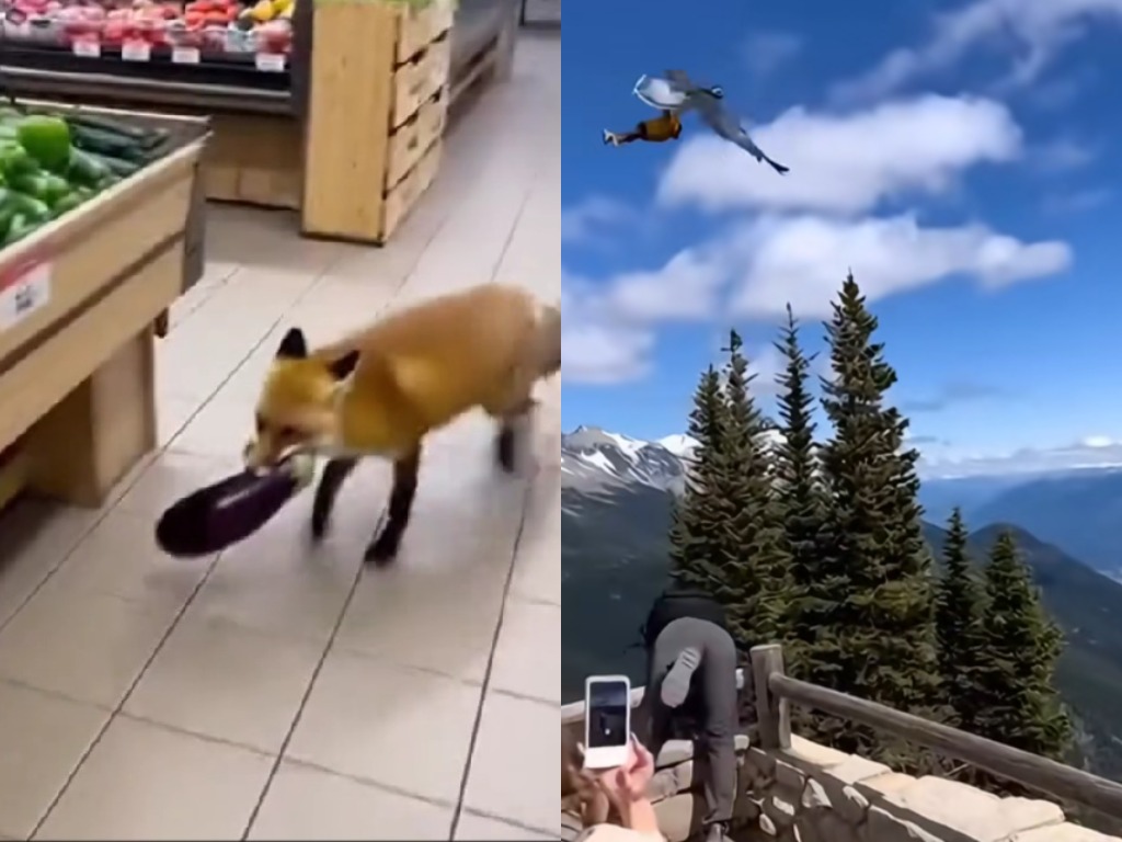 Лиса в магазине и похищение ребёнка: ИИ-видео, обманувшие соцсети