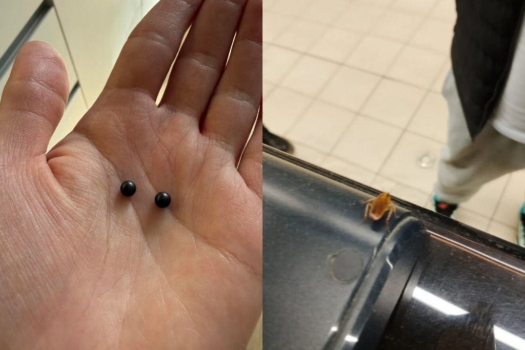 В магазинах Минска нашли булочку с металлом, рыбу с плесенью и тараканов