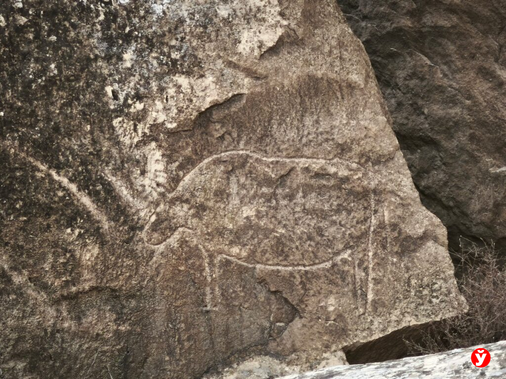 Наскальные тысячелетние рисунки