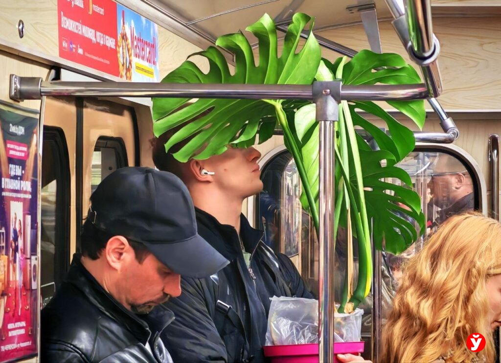 Снег тает, крокусы пробиваются: фоторепортаж с улиц Минска