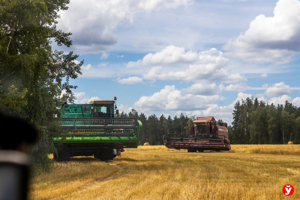 Лукашенко потребовал жестко пресекать посредничество в сельском хозяйстве