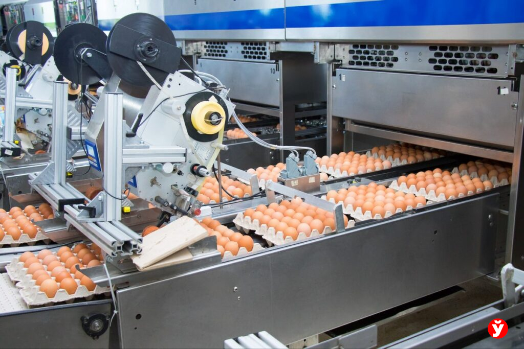 Перед Пасхой в Беларуси дорожают яйца: откуда берутся цены в 6 рублей