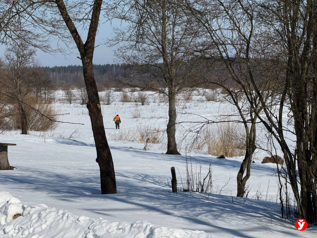 Выйдут ли реки из берегов? В Белгидромете рассказали о риске паводков весной 2026 года