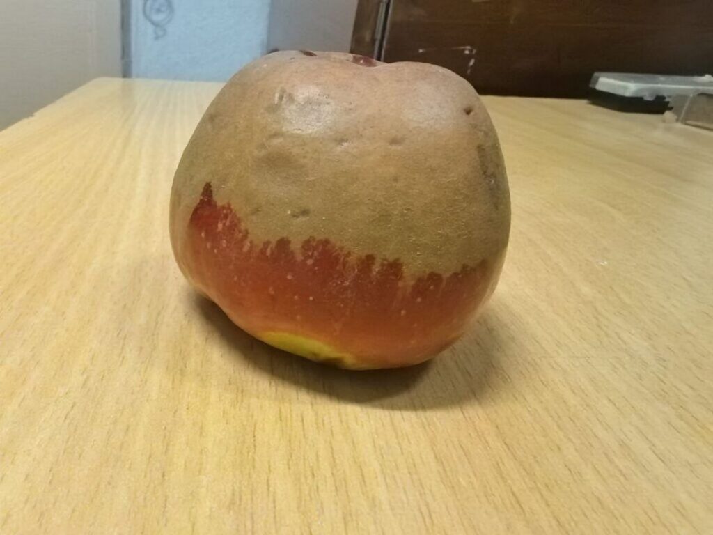 Яблоко раздора: в Смолевичах разбираются с жалобой родителя в соцсетях