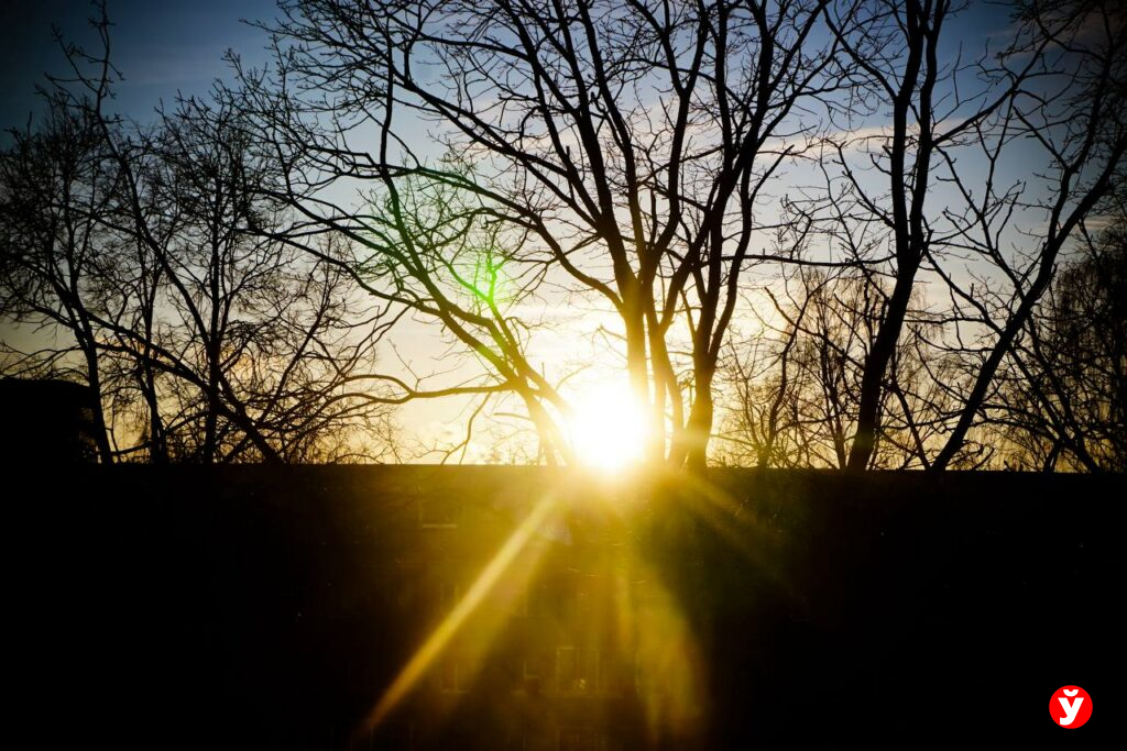 Гололедица и температурные «качели»: синоптики рассказали о погоде в Беларуси 6 марта