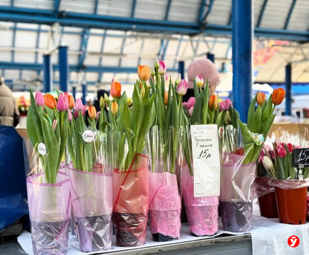 Тюльпаны на продажу